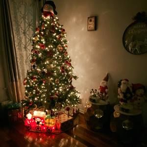 Meet your Posher, Lavina